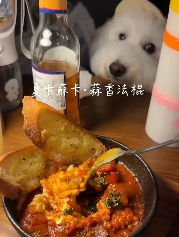 野陌小餐館桃園寵物友善