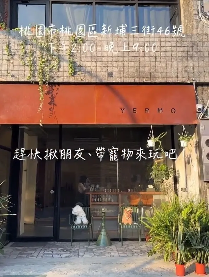 野陌小餐館桃園寵物友善