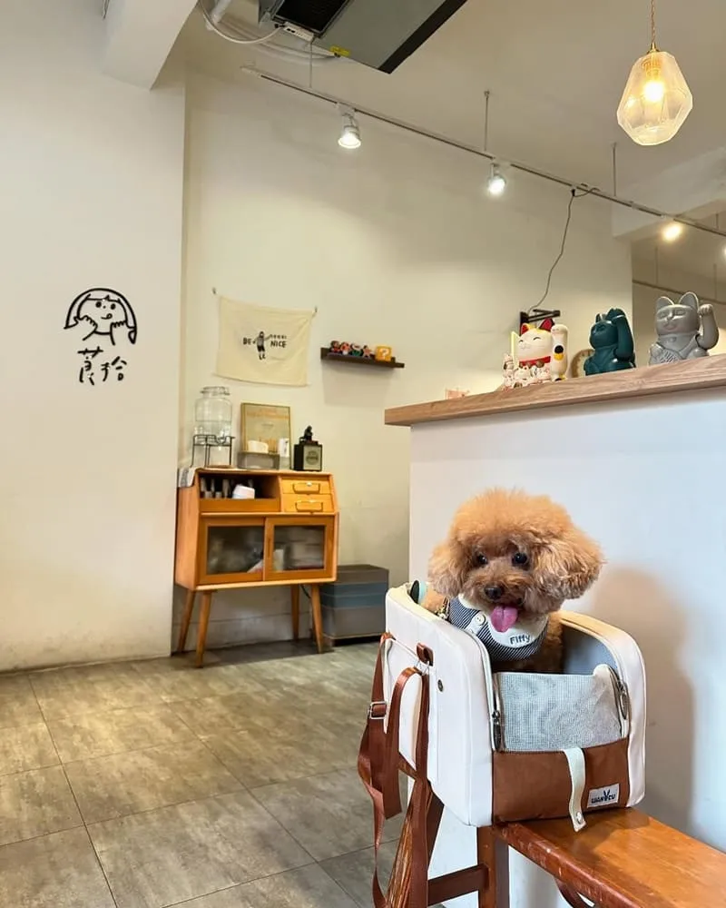 莨拾鐵板料理