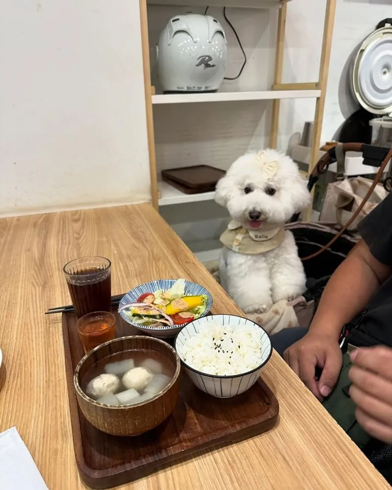 莨拾鐵板料理