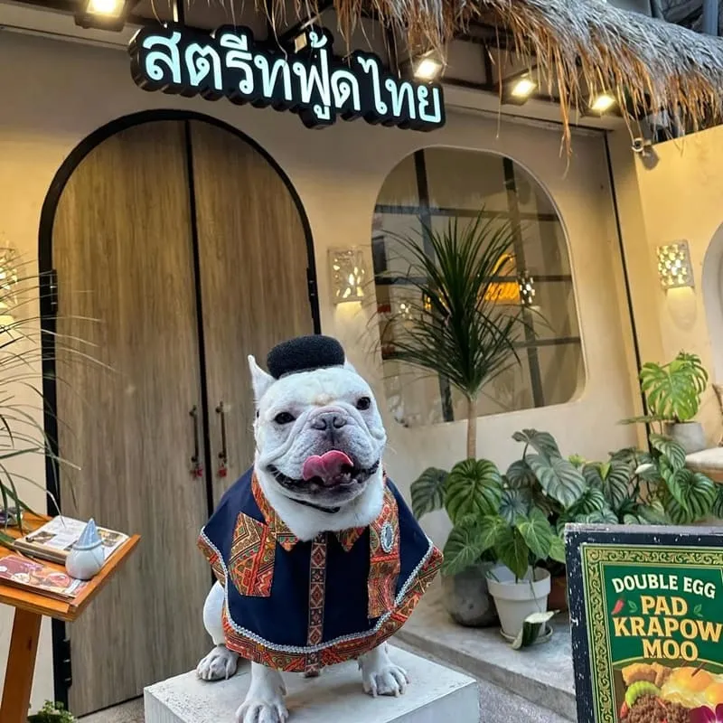 泰水泰式小吃東海店