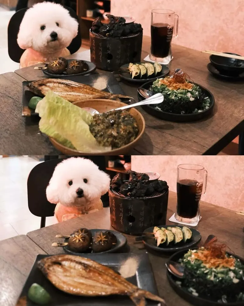 碳少年嘉義居酒屋