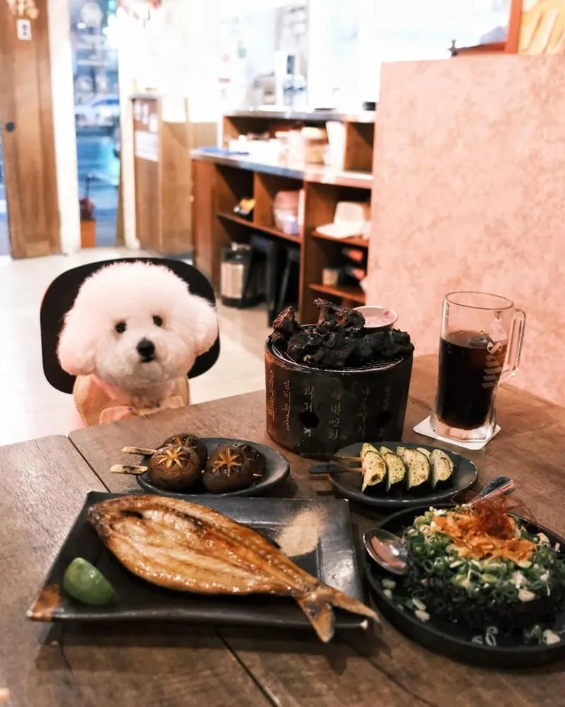 碳少年嘉義居酒屋