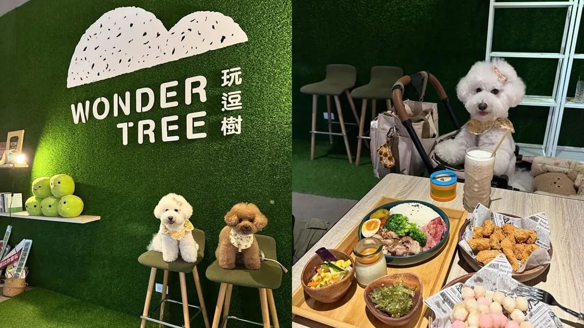 玩逗樹咖啡中原店