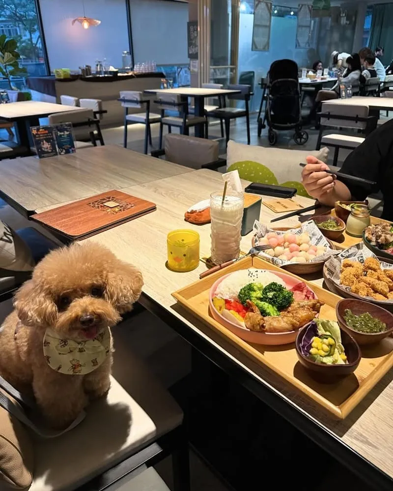 玩逗樹咖啡中原店