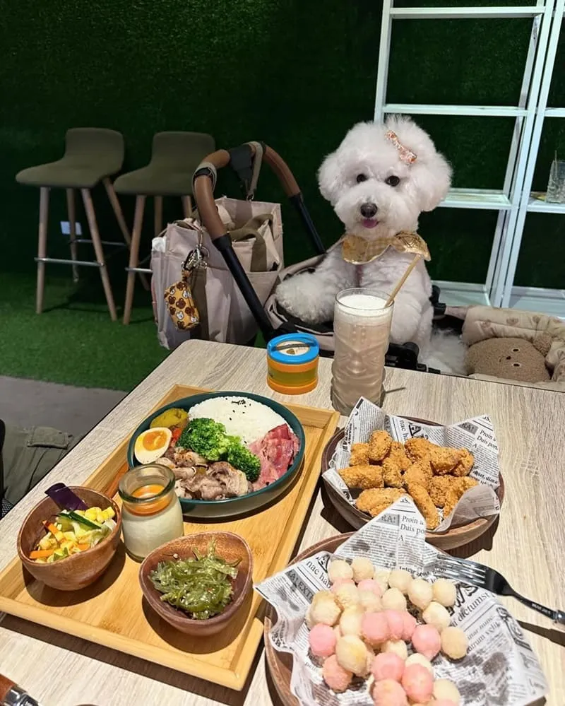 玩逗樹咖啡中原店