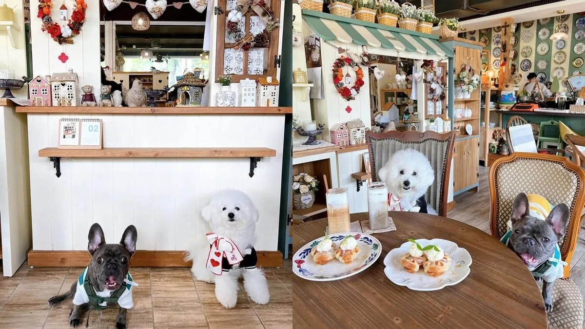 繪木屋鄉村實木家具