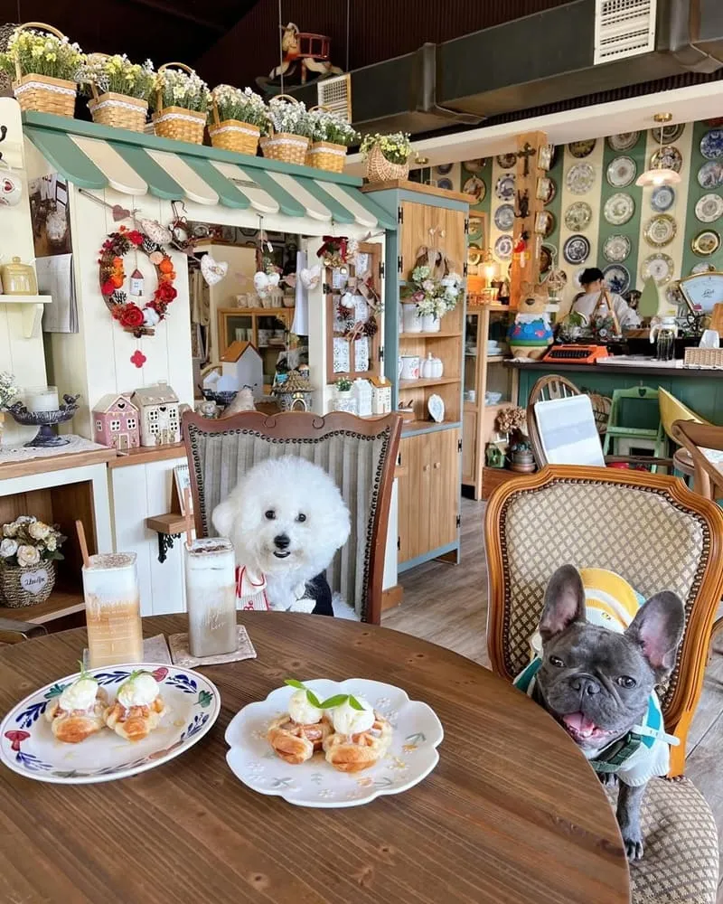 繪木屋鄉村實木家具