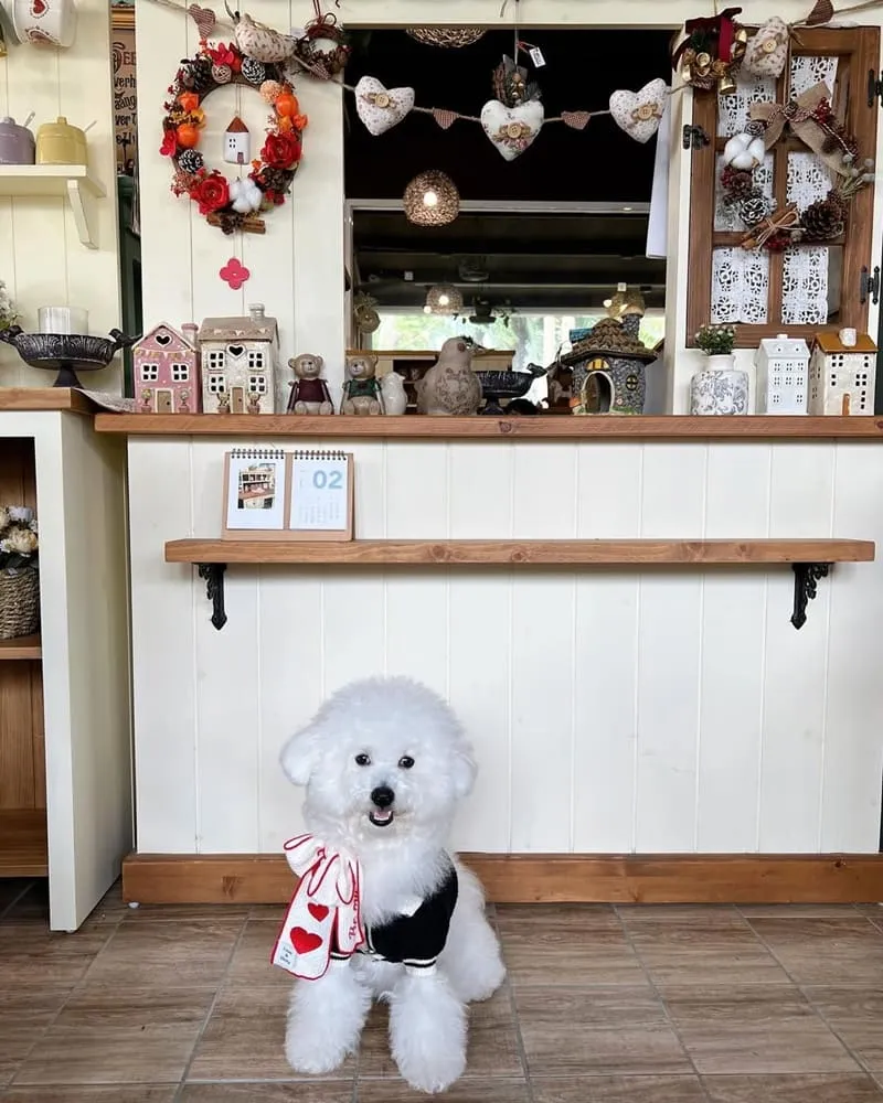繪木屋鄉村實木家具