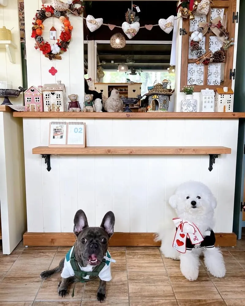 繪木屋鄉村實木家具