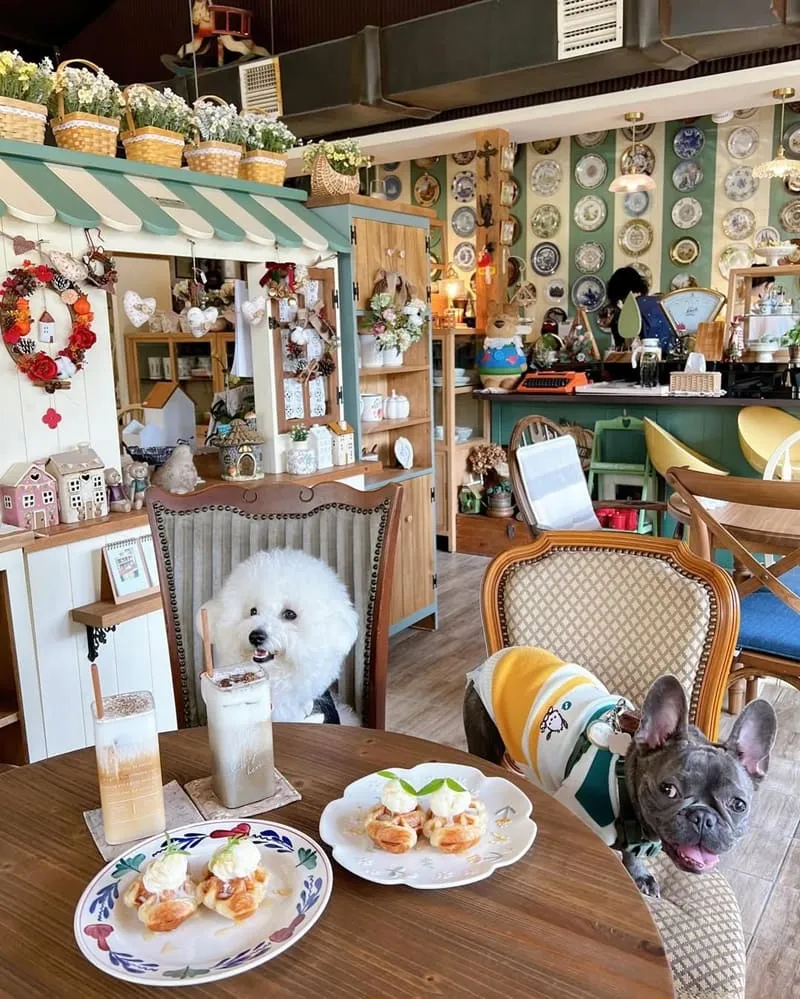 繪木屋鄉村實木家具