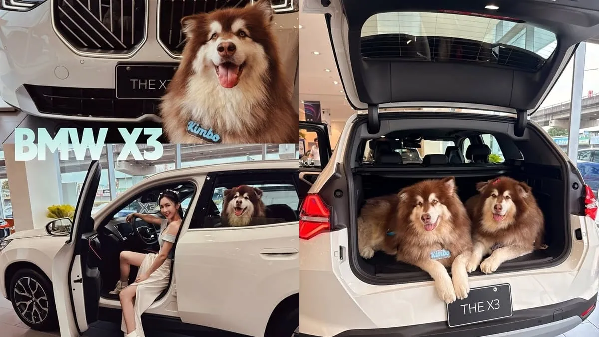 全新 BMW X3（G45）毛孩出遊實測