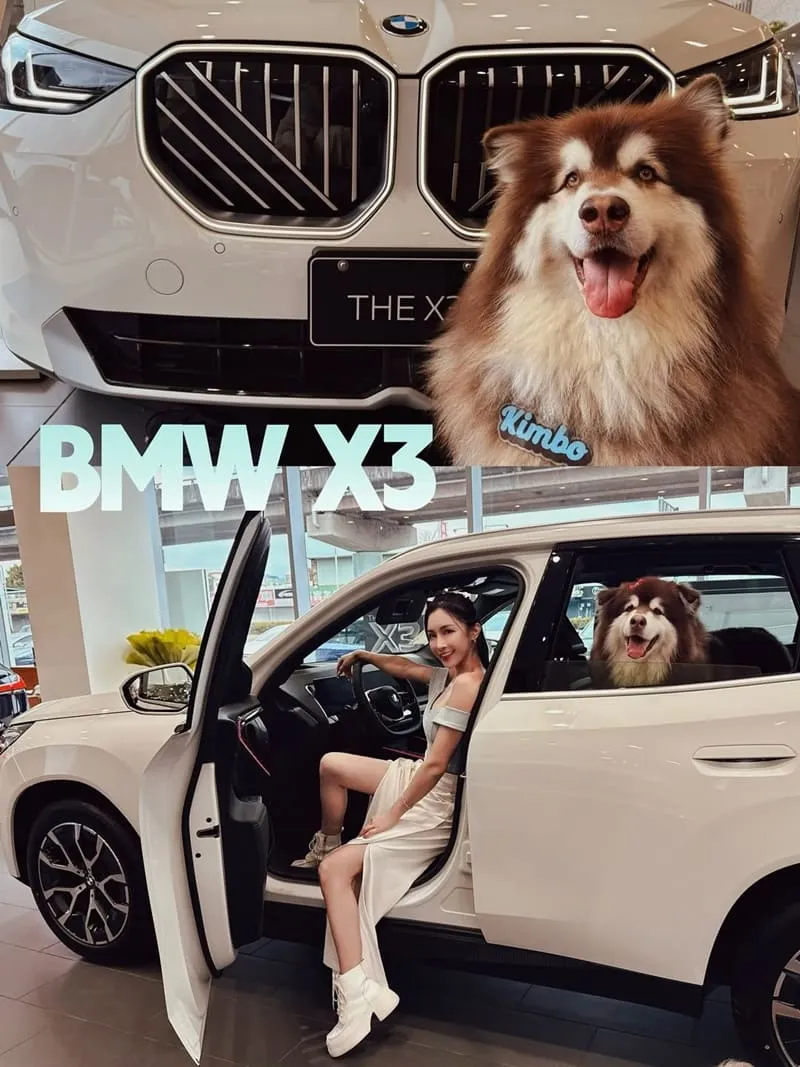 全新 BMW X3（G45）毛孩出遊實測