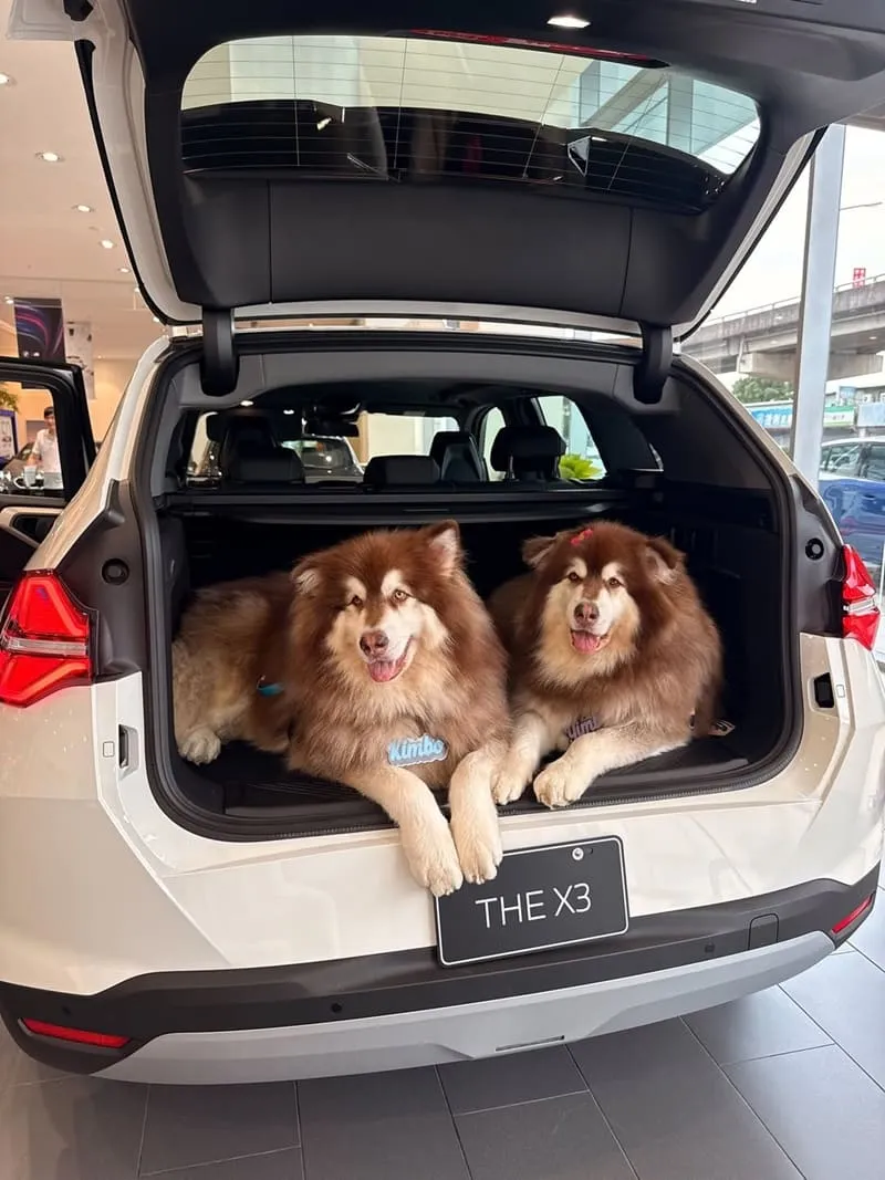 全新 BMW X3（G45）毛孩出遊實測