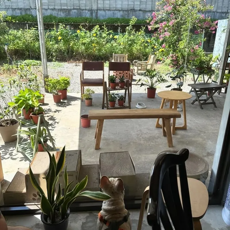 Hippoguava Cafe 河馬芭樂咖啡