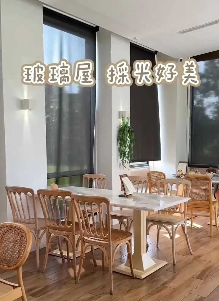 桃園寵物友善咖啡廳推薦｜HoneyWood Cafe