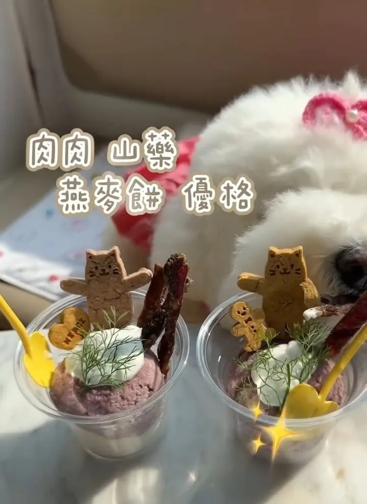 桃園寵物友善咖啡廳推薦｜HoneyWood Cafe