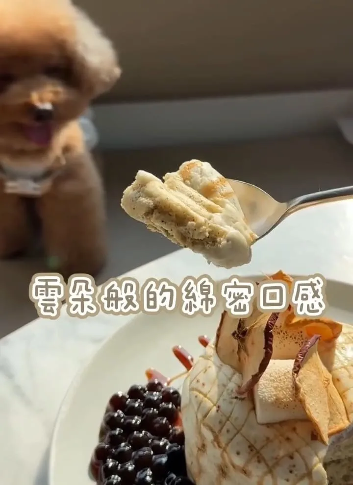 桃園寵物友善咖啡廳推薦｜HoneyWood Cafe