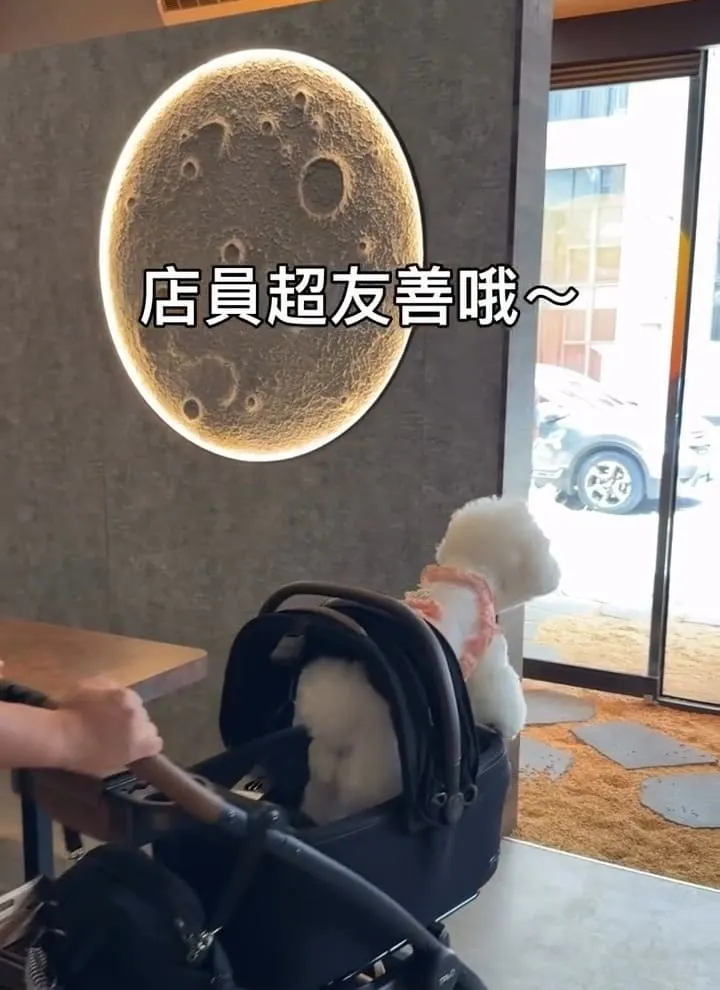礁溪寵物友善餐廳｜快炒樂室