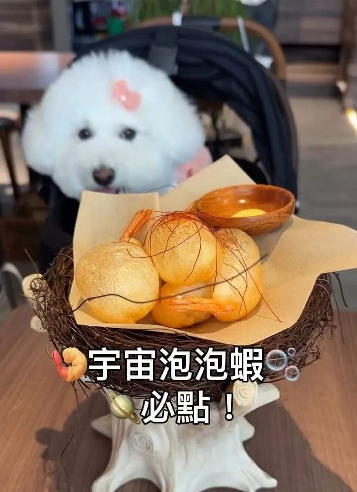 礁溪寵物友善餐廳｜快炒樂室