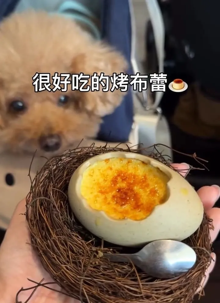 礁溪寵物友善餐廳｜快炒樂室