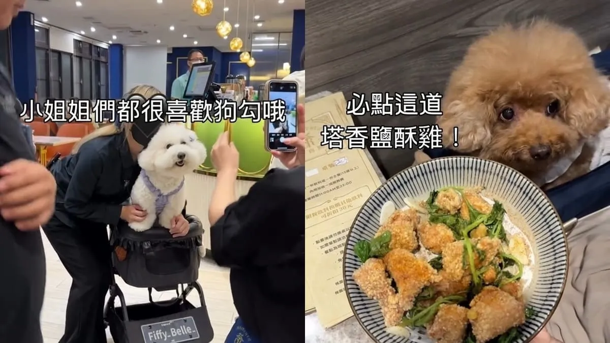 茶自點桃園中正店