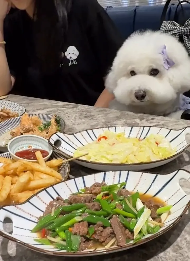 茶自點桃園中正店