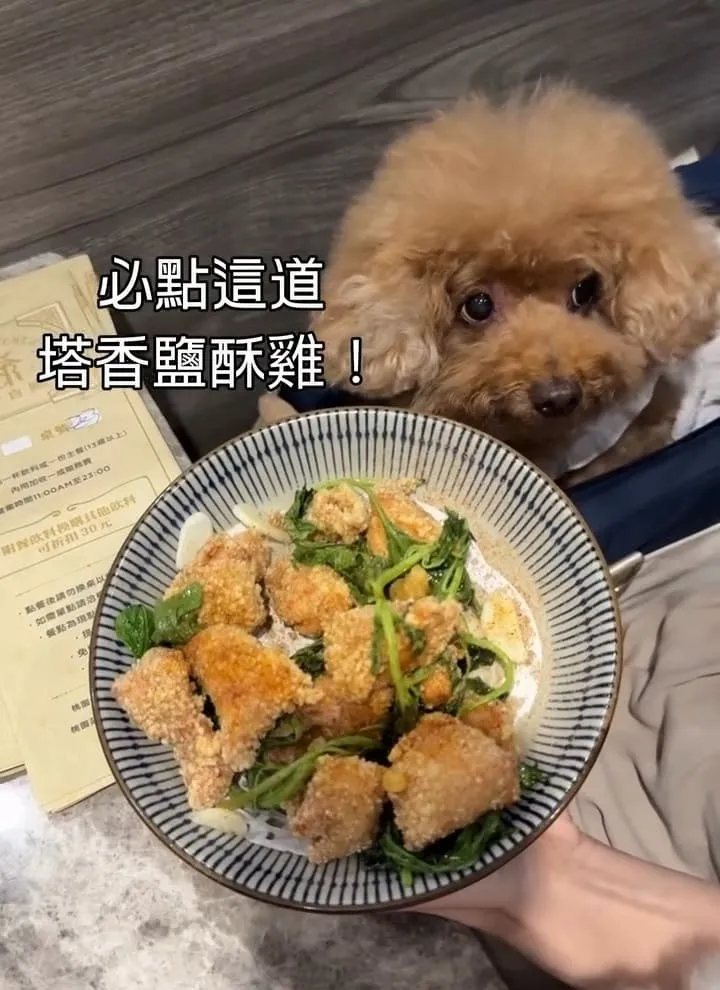 茶自點桃園中正店