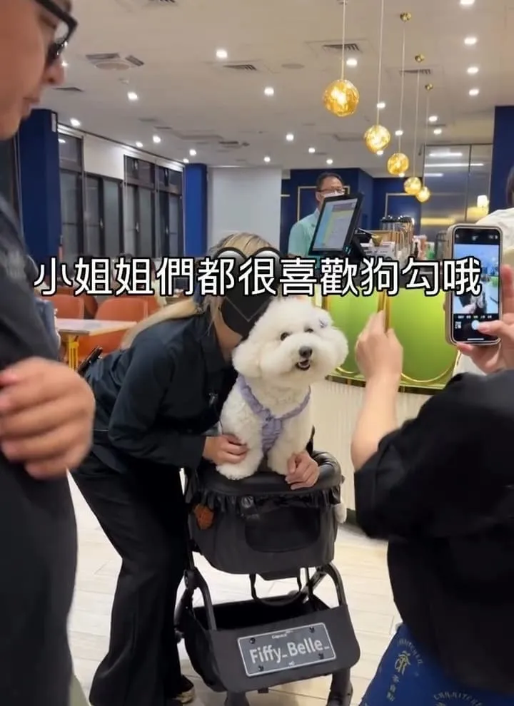 茶自點桃園中正店