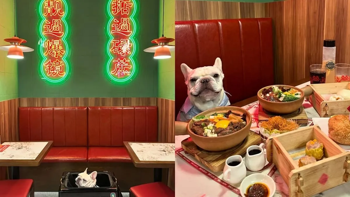 板橋寵物友善美食新選擇｜龍囍茶檔亞東店