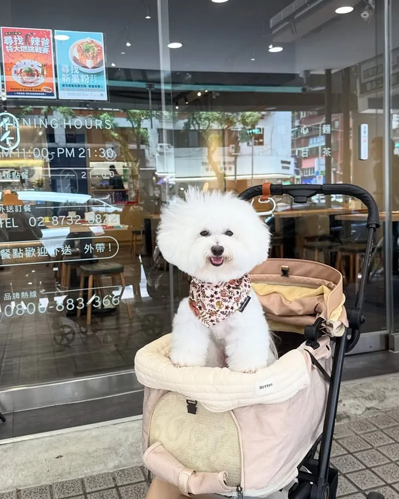 墨竹亭 燃麵本家 台北六張犁店