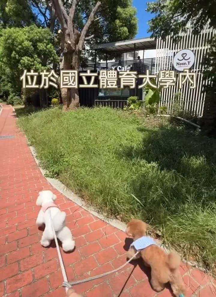 諾奇意咖啡 Nose.Y Café