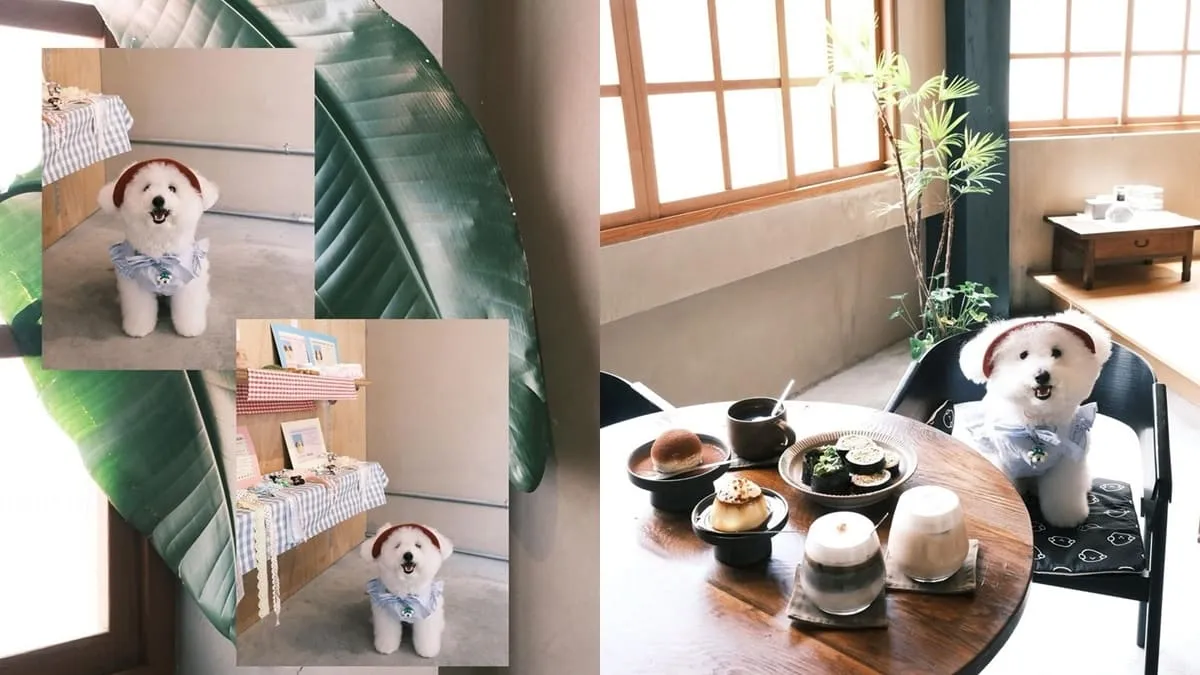 台南咖啡廳 Present Coffee