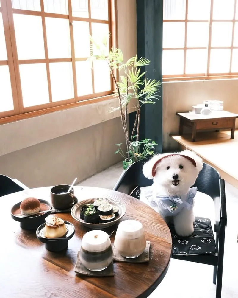 台南咖啡廳 Present Coffee