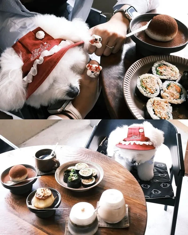 台南咖啡廳 Present Coffee