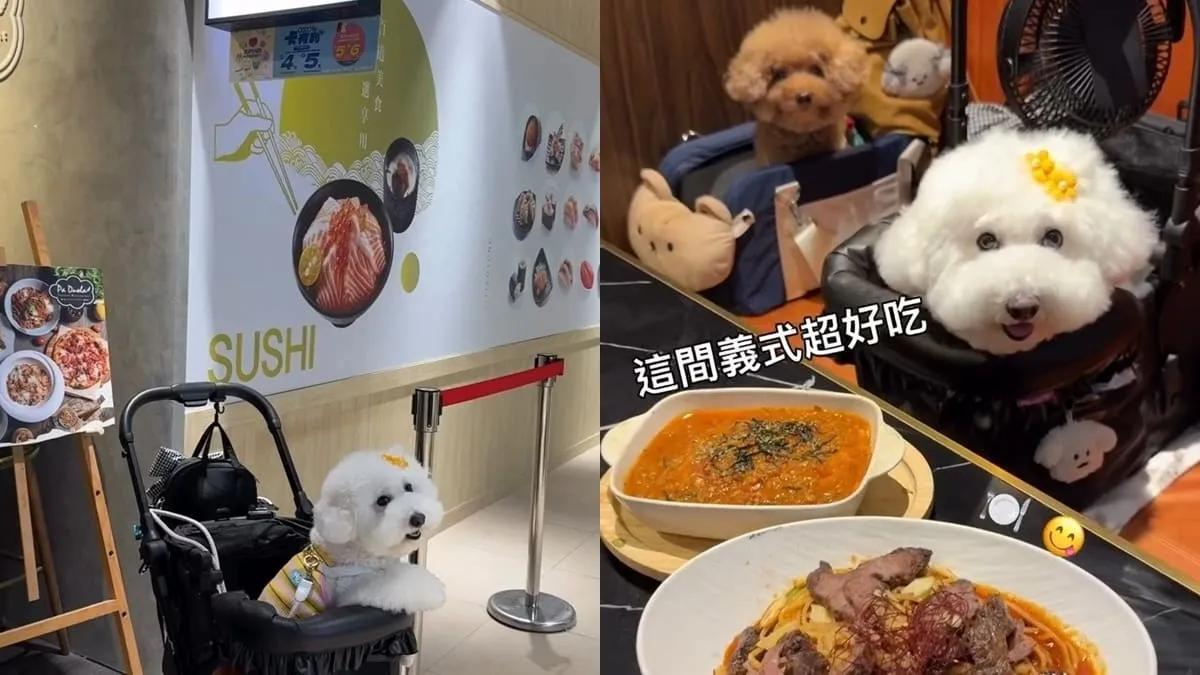 桃園青埔寵物友善美食｜帕朵拉義式餐廳A19