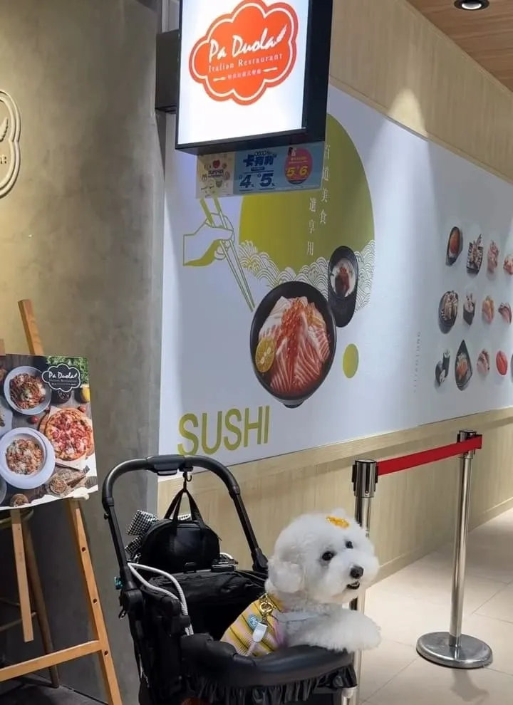 桃園青埔寵物友善美食｜帕朵拉義式餐廳A19