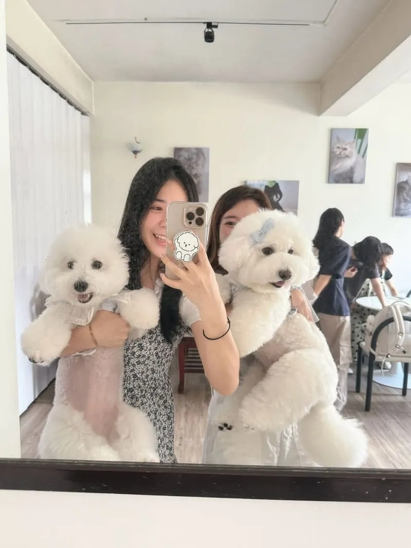 桃園寵物友善咖啡｜MUYI CAFE 木易咖啡