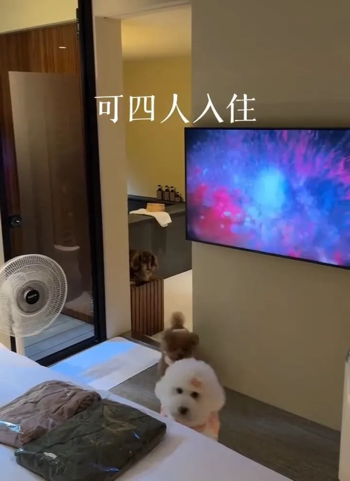五十華 礁溪行館招待所｜寵物友善四人房