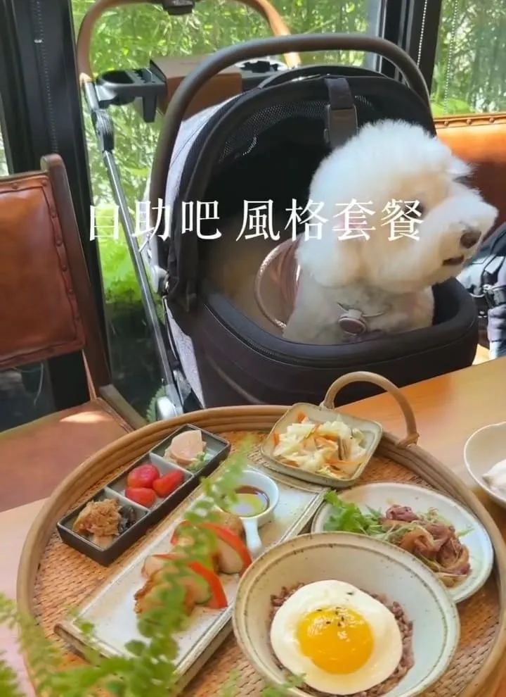 五十華 礁溪行館招待所｜寵物友善四人房