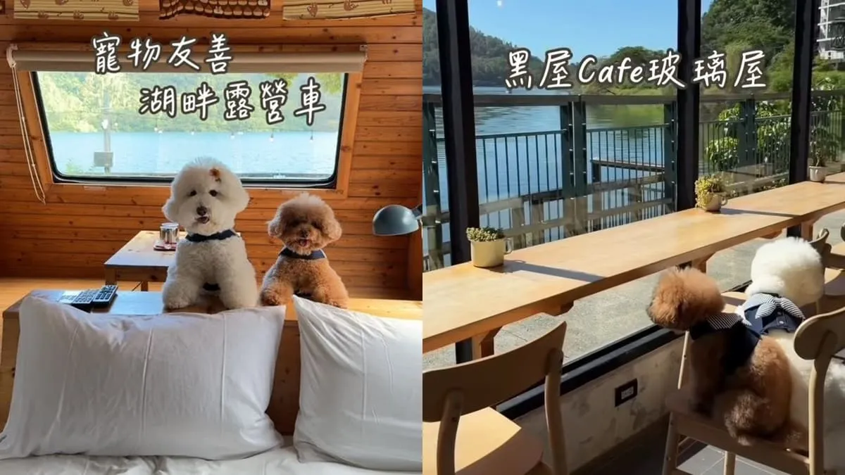 花蓮寵物友善住宿｜黑屋CAMP 露營車住湖畔