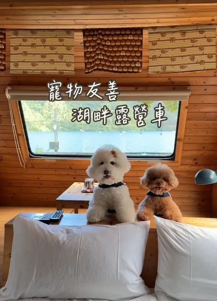 花蓮寵物友善住宿｜黑屋CAMP 露營車住湖畔