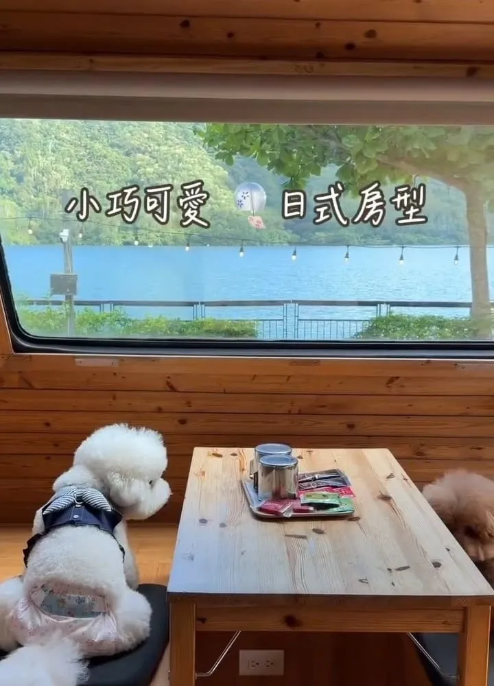 花蓮寵物友善住宿｜黑屋CAMP 露營車住湖畔