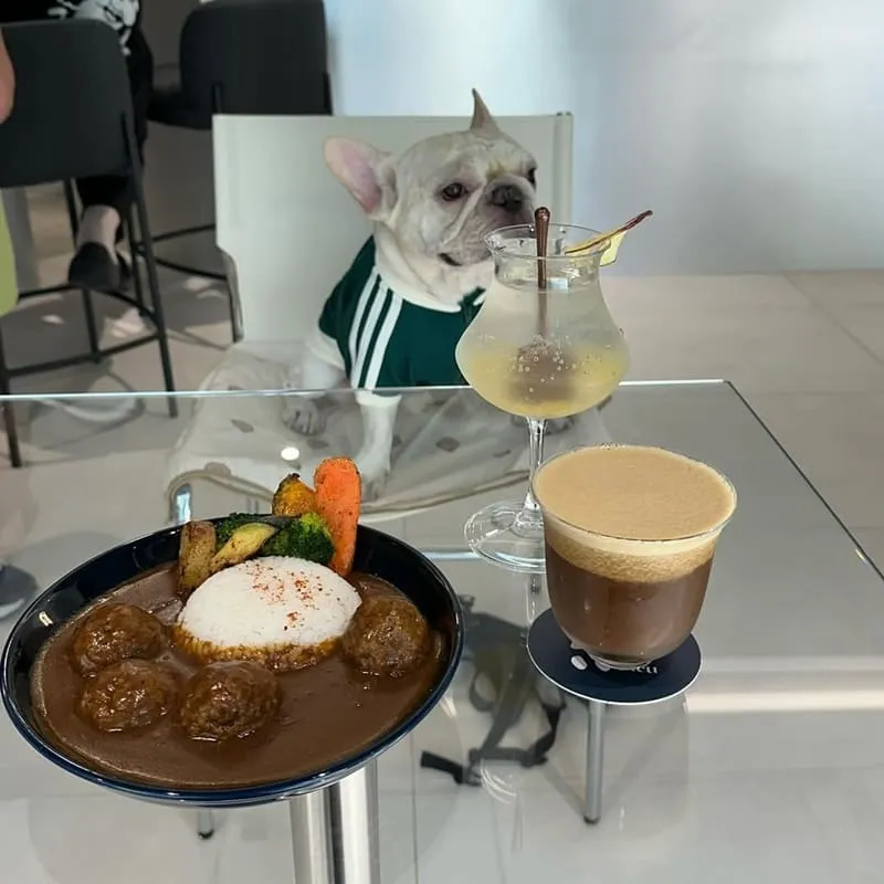 Bleu Cafe 台中寵物友善咖啡廳|藍灰極簡風・毛孩可入內的陽光午後 6 Bleu Cafe 台中寵物友善咖啡廳