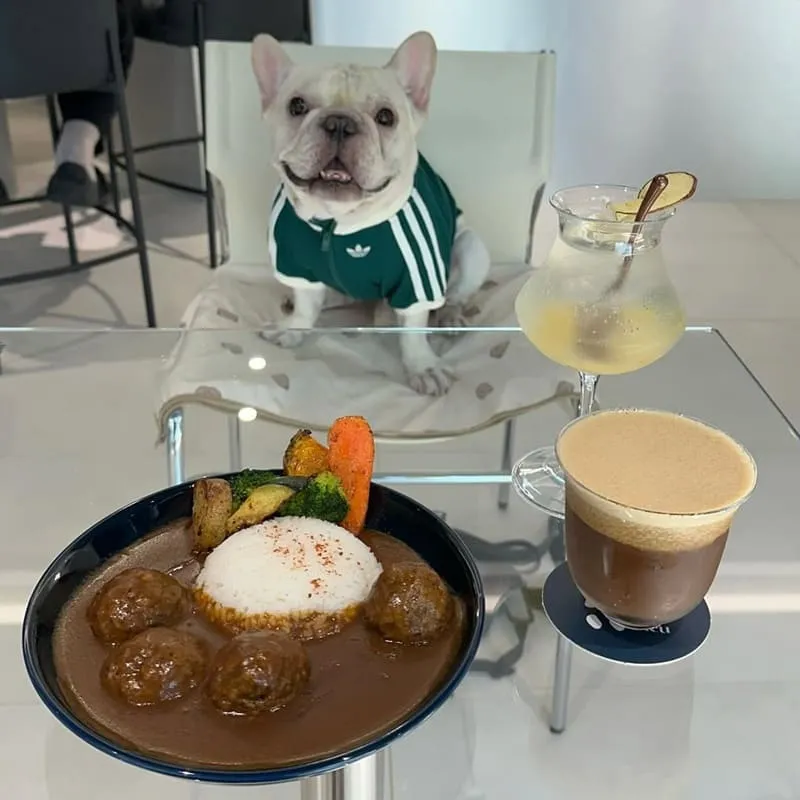 Bleu Cafe 台中寵物友善咖啡廳|藍灰極簡風・毛孩可入內的陽光午後 8 Bleu Cafe 台中寵物友善咖啡廳