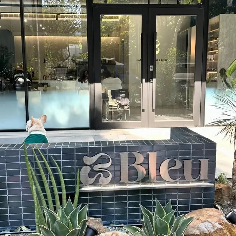 Bleu Cafe 台中寵物友善咖啡廳|藍灰極簡風・毛孩可入內的陽光午後 9 Bleu Cafe 台中寵物友善咖啡廳