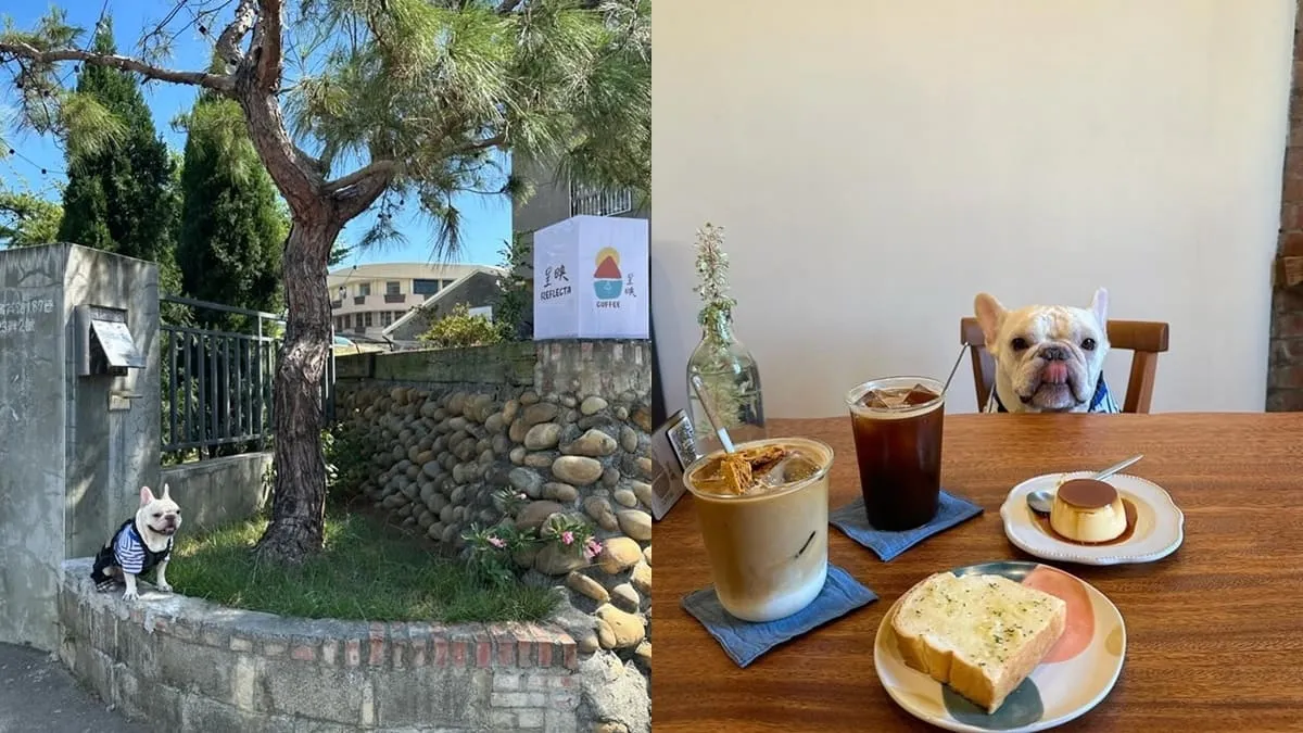 呈映咖啡 台中大肚寵物友善咖啡廳