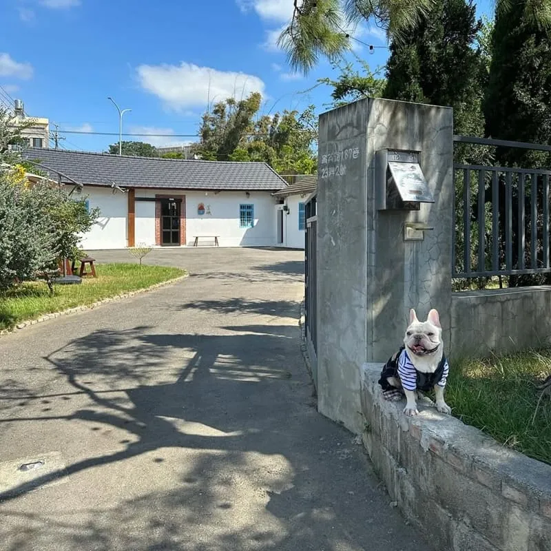 呈映咖啡館 台中大肚寵物友善咖啡廳|三合院庭院散步・牽繩可落地・早開門 4 呈映咖啡館 台中大肚寵物友善咖啡廳