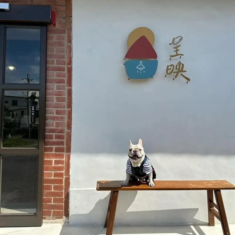 呈映咖啡館 台中大肚寵物友善咖啡廳|三合院庭院散步・牽繩可落地・早開門 5 呈映咖啡館 台中大肚寵物友善咖啡廳