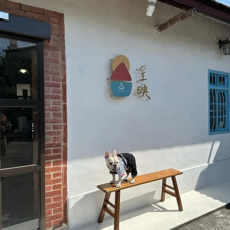呈映咖啡館 台中大肚寵物友善咖啡廳|三合院庭院散步・牽繩可落地・早開門 9 呈映咖啡館 台中大肚寵物友善咖啡廳
